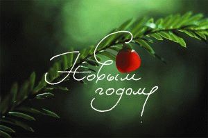 C наступающим Новым Годом! C наступающим Новым Годом!