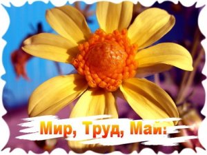 Мир, Труд, Май! Мир, Труд, Май!