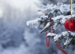 Со старым Новым годом 2016 Со старым Новым годом 2016